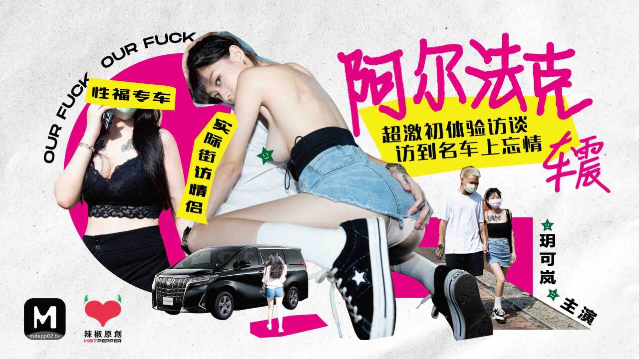 阿尔法克 车震