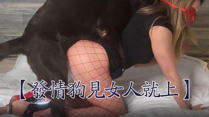 发情狗见女人就上 女人也乖乖被操