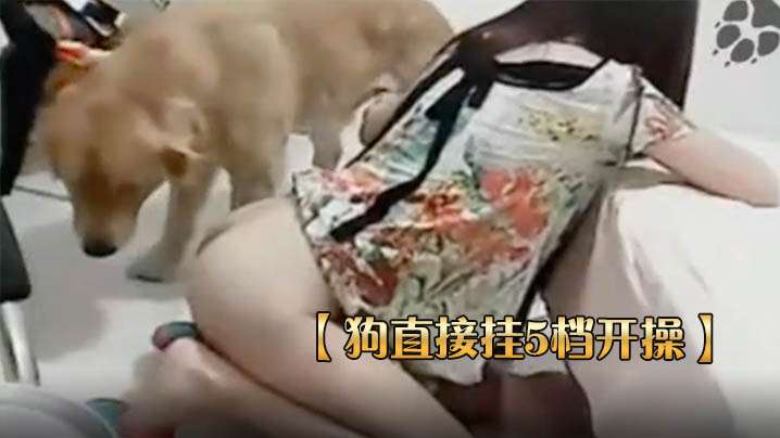5档狗式后入 女主固定姿势狂操