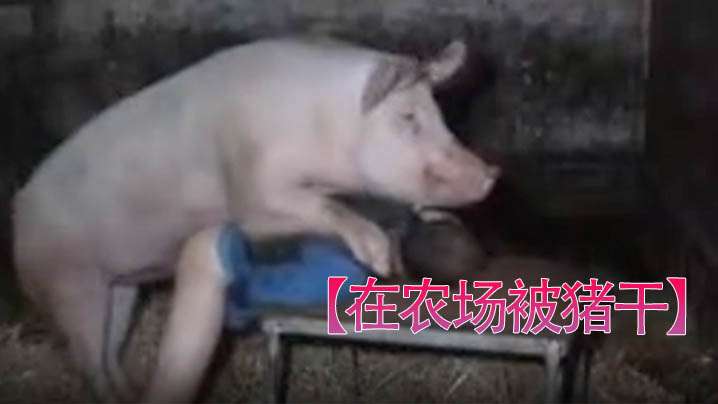 在农场被猪干 男人被干得挺爽
