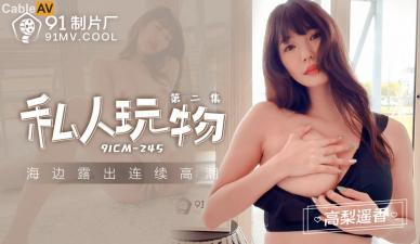 91CM245 91制片厂 私人玩物2 高梨遥香