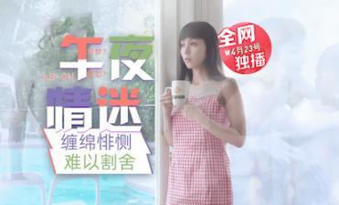 LB011 乐播传媒 午夜迷情 与画中人的缠绵悱恻