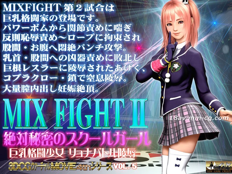 MIX FIGHT2 绝对秘密的学园少女 3D