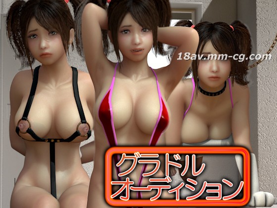3D 写真偶像试镜