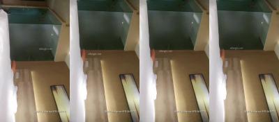 200810 2020 全国探花 2020-2-7-130