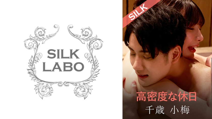 220SILKS-107 高密度假日