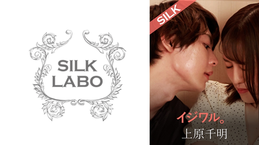220SILKS-105 捉弄